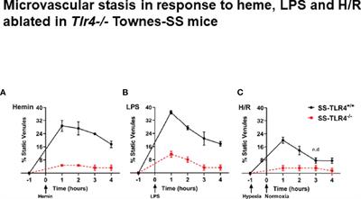 Endothelial TLR4 Expression Mediates Vaso-Occlusive Crisis in Sickle Cell Disease